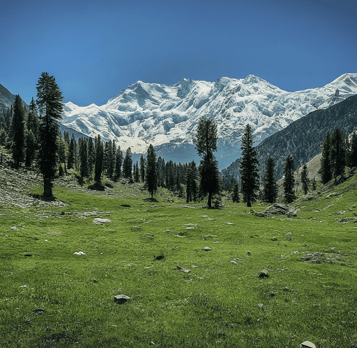 Nanga parbat