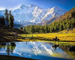 Fairy Meadows